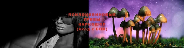 mix Алексин