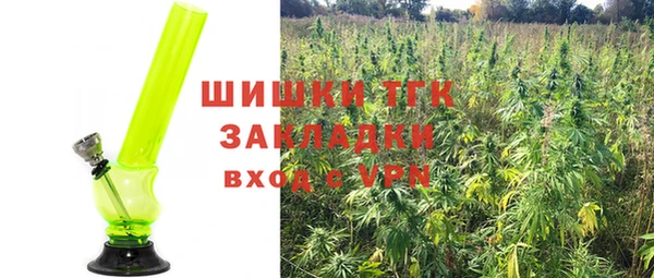 прущие грибы Алексеевка