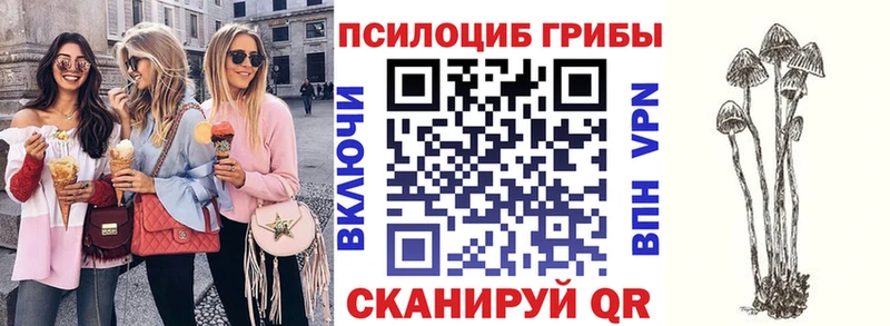 продажа наркотиков  Дмитров  Галлюциногенные грибы MAGIC MUSHROOMS 